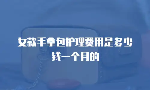 女款手拿包护理费用是多少钱一个月的