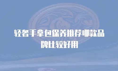 轻奢手拿包保养推荐哪款品牌比较好用