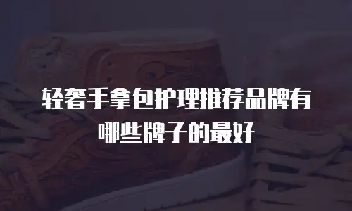 轻奢手拿包护理推荐品牌有哪些牌子的最好