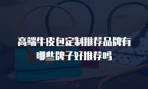 高端牛皮包定制推荐品牌有哪些牌子好推荐吗