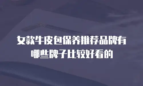 女款牛皮包保养推荐品牌有哪些牌子比较好看的