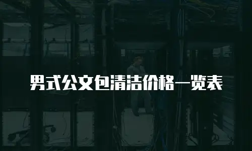 男式公文包清洁价格一览表