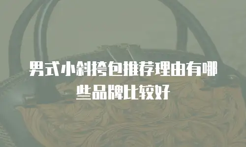 男式小斜挎包推荐理由有哪些品牌比较好