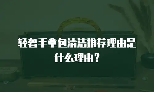 轻奢手拿包清洁推荐理由是什么理由？