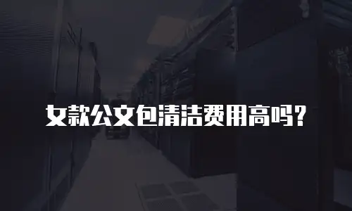 女款公文包清洁费用高吗？