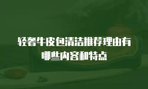 轻奢牛皮包清洁推荐理由有哪些内容和特点