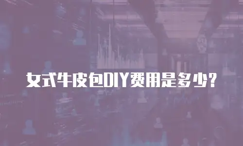 女式牛皮包DIY费用是多少？