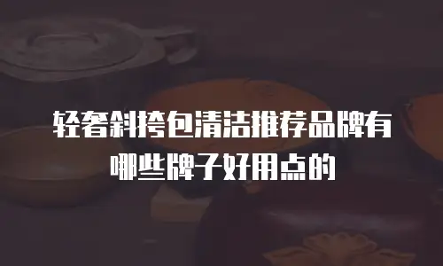 轻奢斜挎包清洁推荐品牌有哪些牌子好用点的