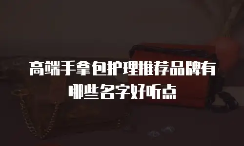 高端手拿包护理推荐品牌有哪些名字好听点