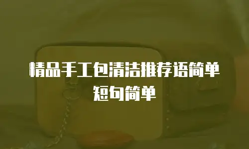 精品手工包清洁推荐语简单短句简单