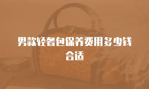 男款轻奢包保养费用多少钱合适