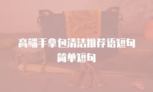 高端手拿包清洁推荐语短句简单短句