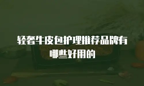 轻奢牛皮包护理推荐品牌有哪些好用的