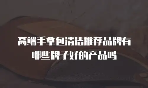 高端手拿包清洁推荐品牌有哪些牌子好的产品吗