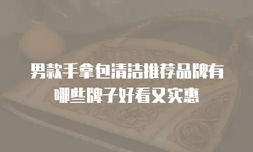 男款手拿包清洁推荐品牌有哪些牌子好看又实惠