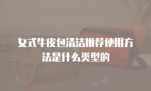 女式牛皮包清洁推荐使用方法是什么类型的