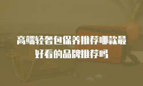 高端轻奢包保养推荐哪款最好看的品牌推荐吗