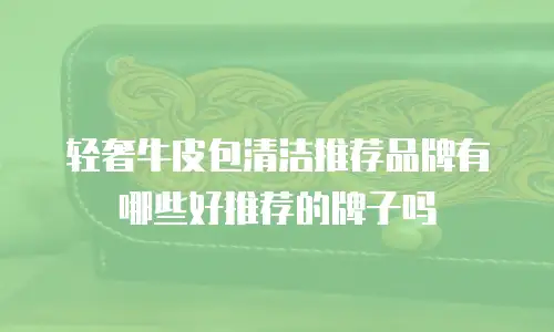 轻奢牛皮包清洁推荐品牌有哪些好推荐的牌子吗