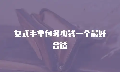 女式手拿包多少钱一个最好合适
