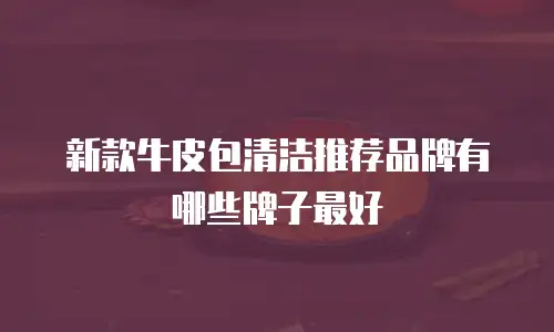 新款牛皮包清洁推荐品牌有哪些牌子最好