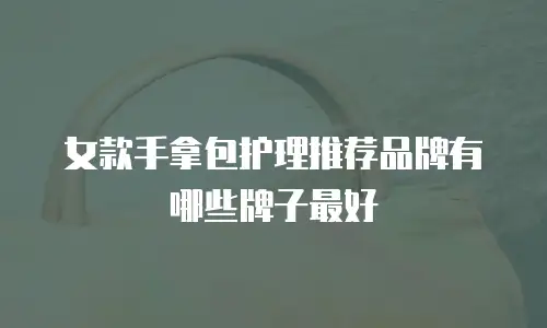 女款手拿包护理推荐品牌有哪些牌子最好