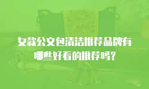 女款公文包清洁推荐品牌有哪些好看的推荐吗？