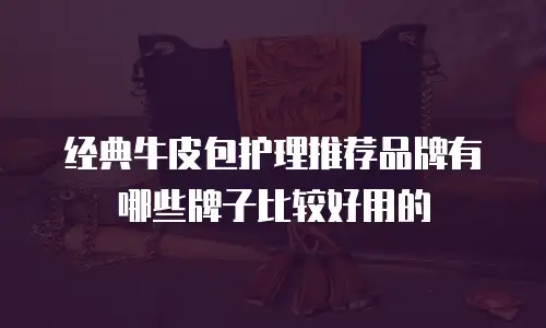 经典牛皮包护理推荐品牌有哪些牌子比较好用的