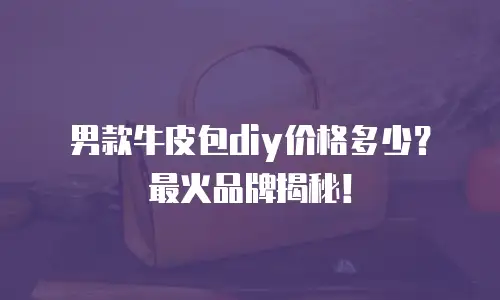 男款牛皮包diy价格多少？最火品牌揭秘！
