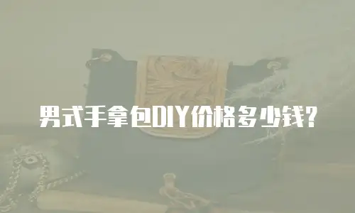 男式手拿包DIY价格多少钱？