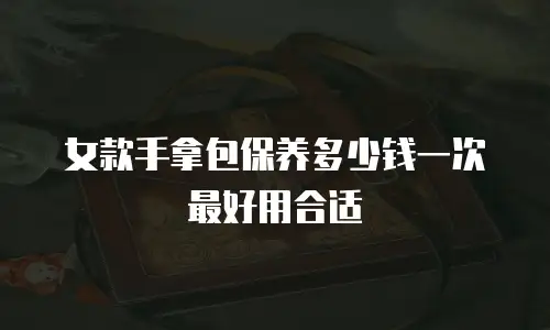 女款手拿包保养多少钱一次最好用合适