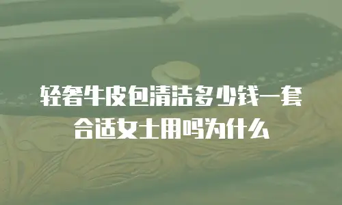 轻奢牛皮包清洁多少钱一套合适女士用吗为什么