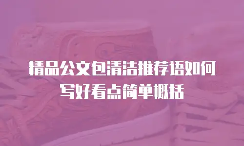 精品公文包清洁推荐语如何写好看点简单概括