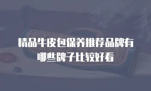 精品牛皮包保养推荐品牌有哪些牌子比较好看