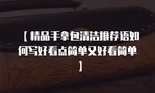 【精品手拿包清洁推荐语如何写好看点简单又好看简单】