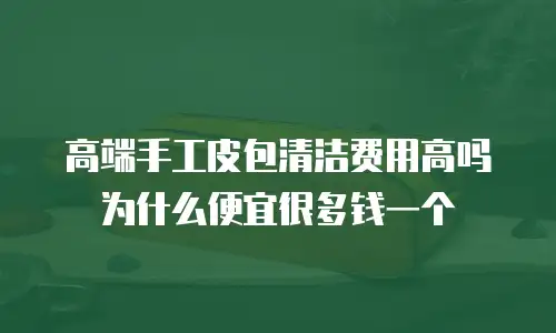 高端手工皮包清洁费用高吗为什么便宜很多钱一个
