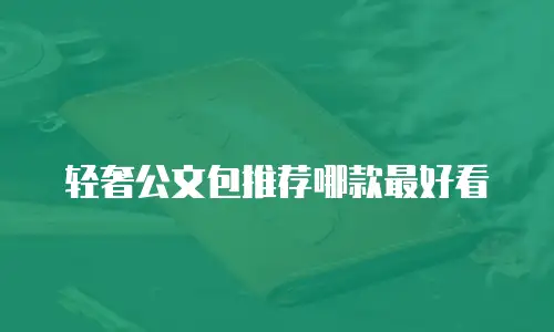 轻奢公文包推荐哪款最好看