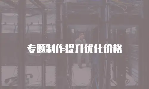 专题制作提升优化价格