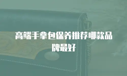 高端手拿包保养推荐哪款品牌最好