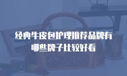 经典牛皮包护理推荐品牌有哪些牌子比较好看