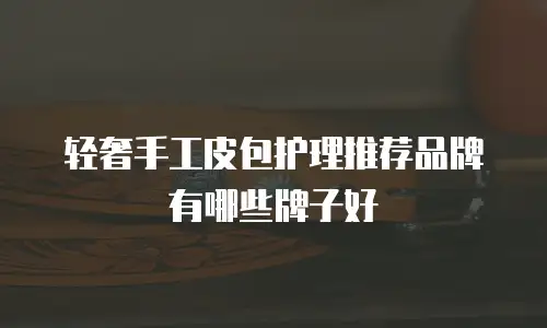 轻奢手工皮包护理推荐品牌有哪些牌子好
