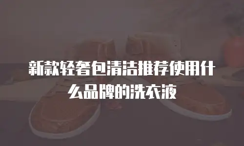 新款轻奢包清洁推荐使用什么品牌的洗衣液