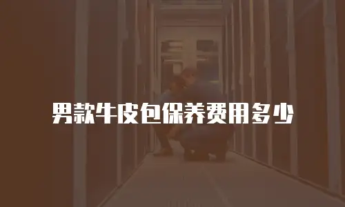 男款牛皮包保养费用多少