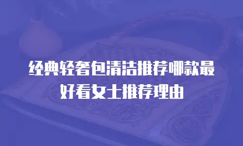 经典轻奢包清洁推荐哪款最好看女士推荐理由