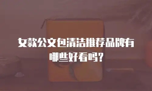 女款公文包清洁推荐品牌有哪些好看吗？