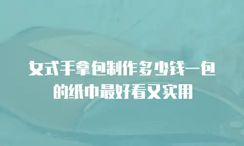 女式手拿包制作多少钱一包的纸巾最好看又实用