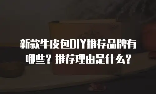 新款牛皮包DIY推荐品牌有哪些？推荐理由是什么？