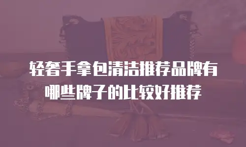 轻奢手拿包清洁推荐品牌有哪些牌子的比较好推荐