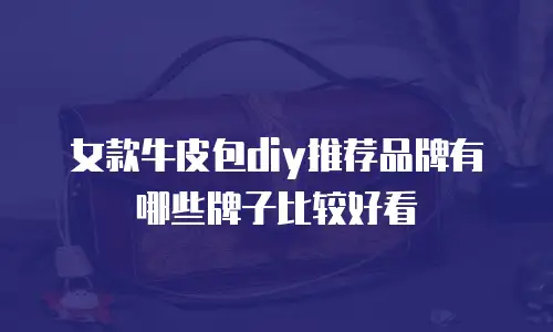 女款牛皮包diy推荐品牌有哪些牌子比较好看