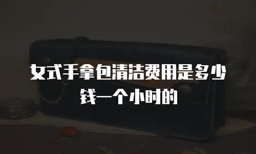 女式手拿包清洁费用是多少钱一个小时的