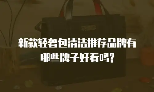 新款轻奢包清洁推荐品牌有哪些牌子好看吗?